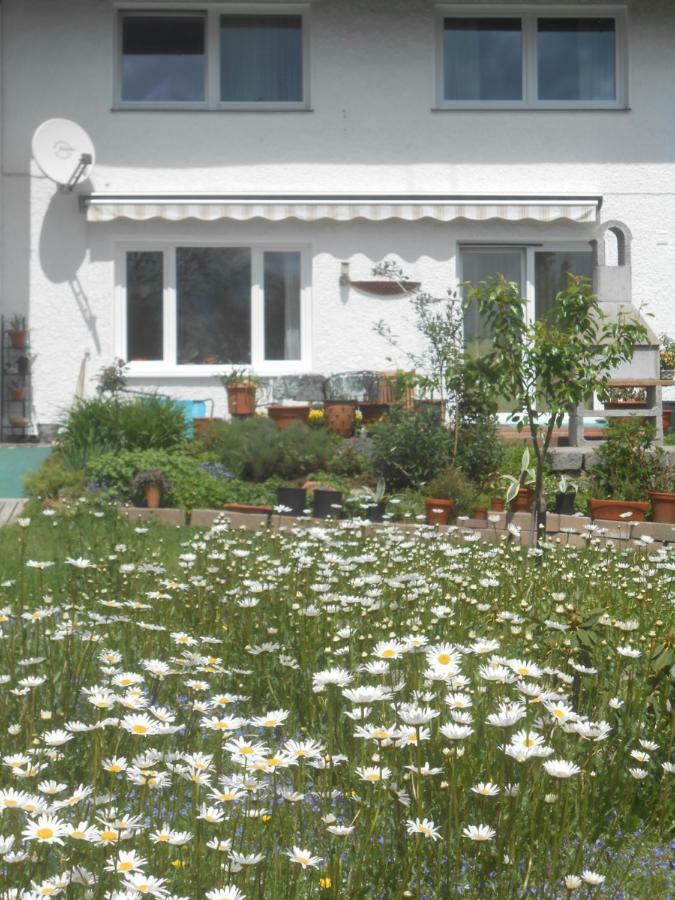 Ferienwohnung Casa Mia Spiegelau Zewnętrze zdjęcie